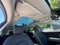 2024 Hyundai IONIQ 5 Limited AWD
