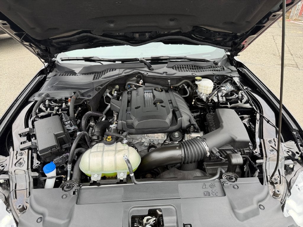 2020 Ford Mustang EcoBoost