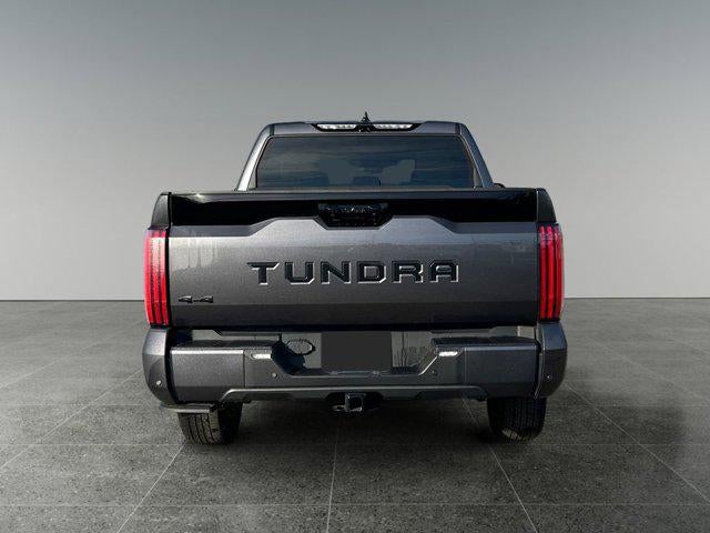 2023 Toyota TUNDRA 4X4 Platinum