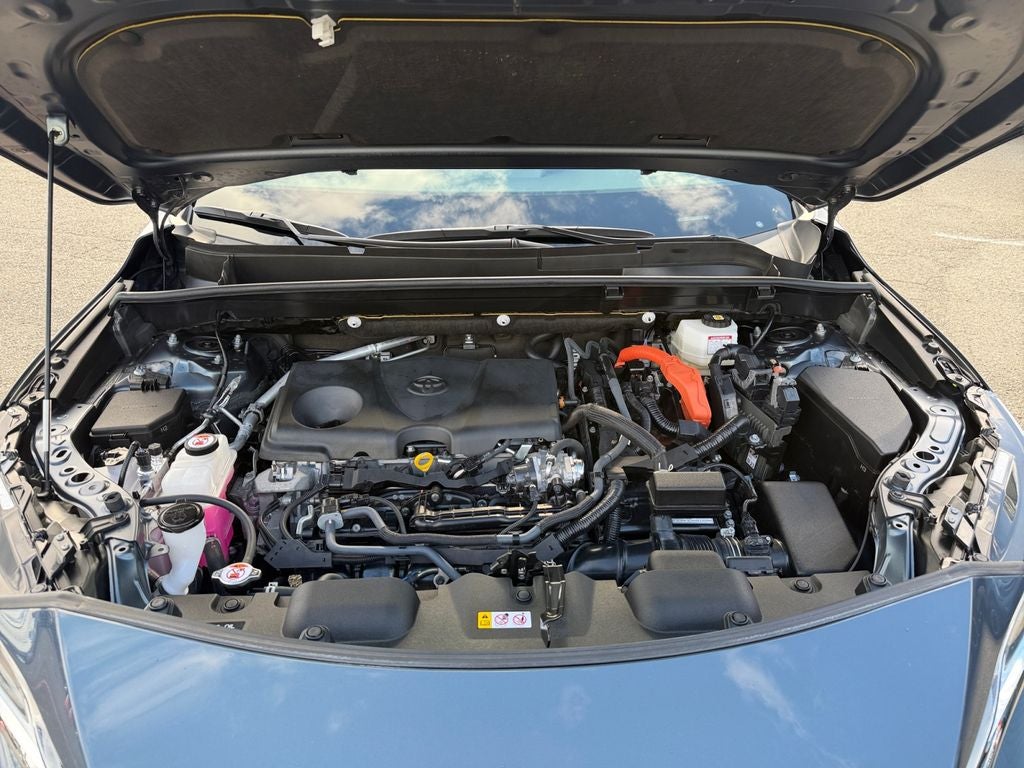 2024 Toyota Venza LE