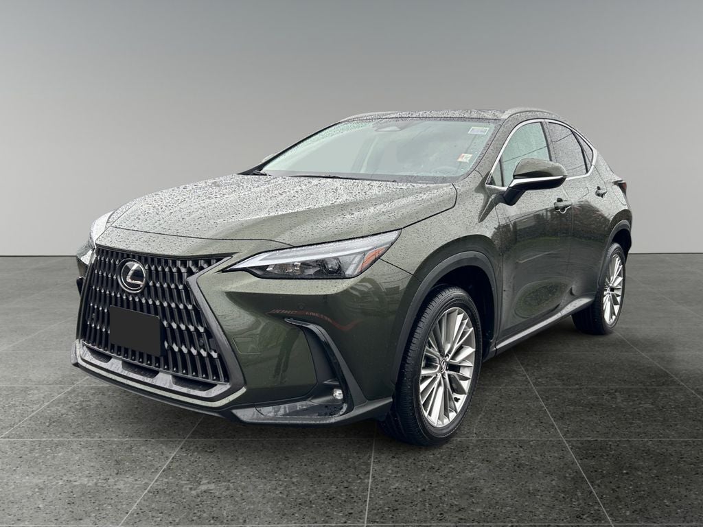 2025 Lexus NX 350h Premium