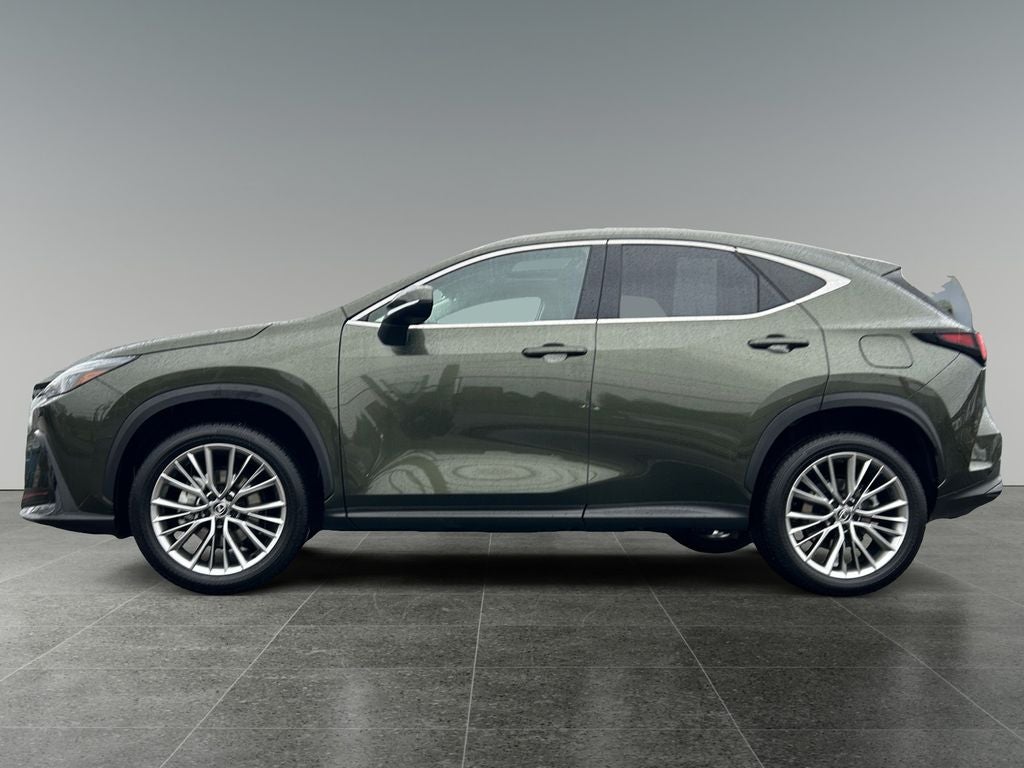2025 Lexus NX 350h Premium