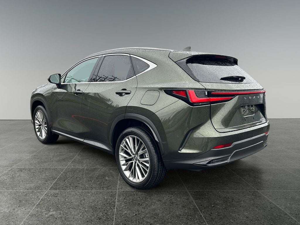 2025 Lexus NX 350h Premium