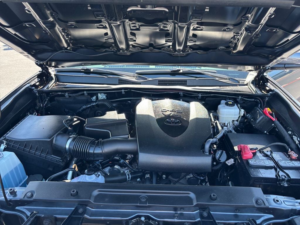 2023 Toyota Tacoma TRD Off-Road V6